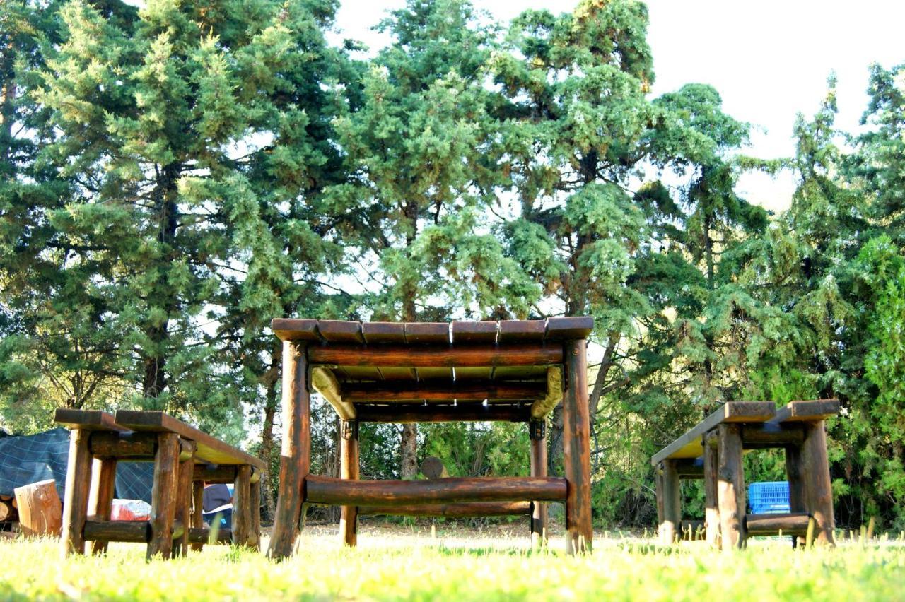 Simplicity At Iris Accommodation Ψακούδια Εξωτερικό φωτογραφία