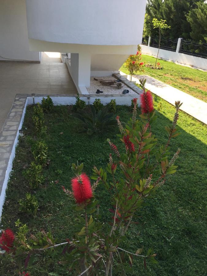 Simplicity At Iris Accommodation Ψακούδια Εξωτερικό φωτογραφία