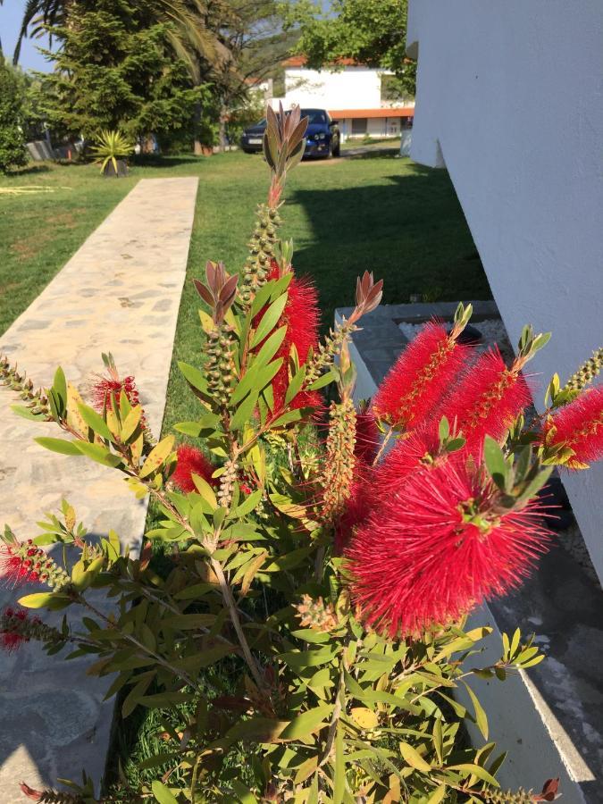 Simplicity At Iris Accommodation Ψακούδια Εξωτερικό φωτογραφία